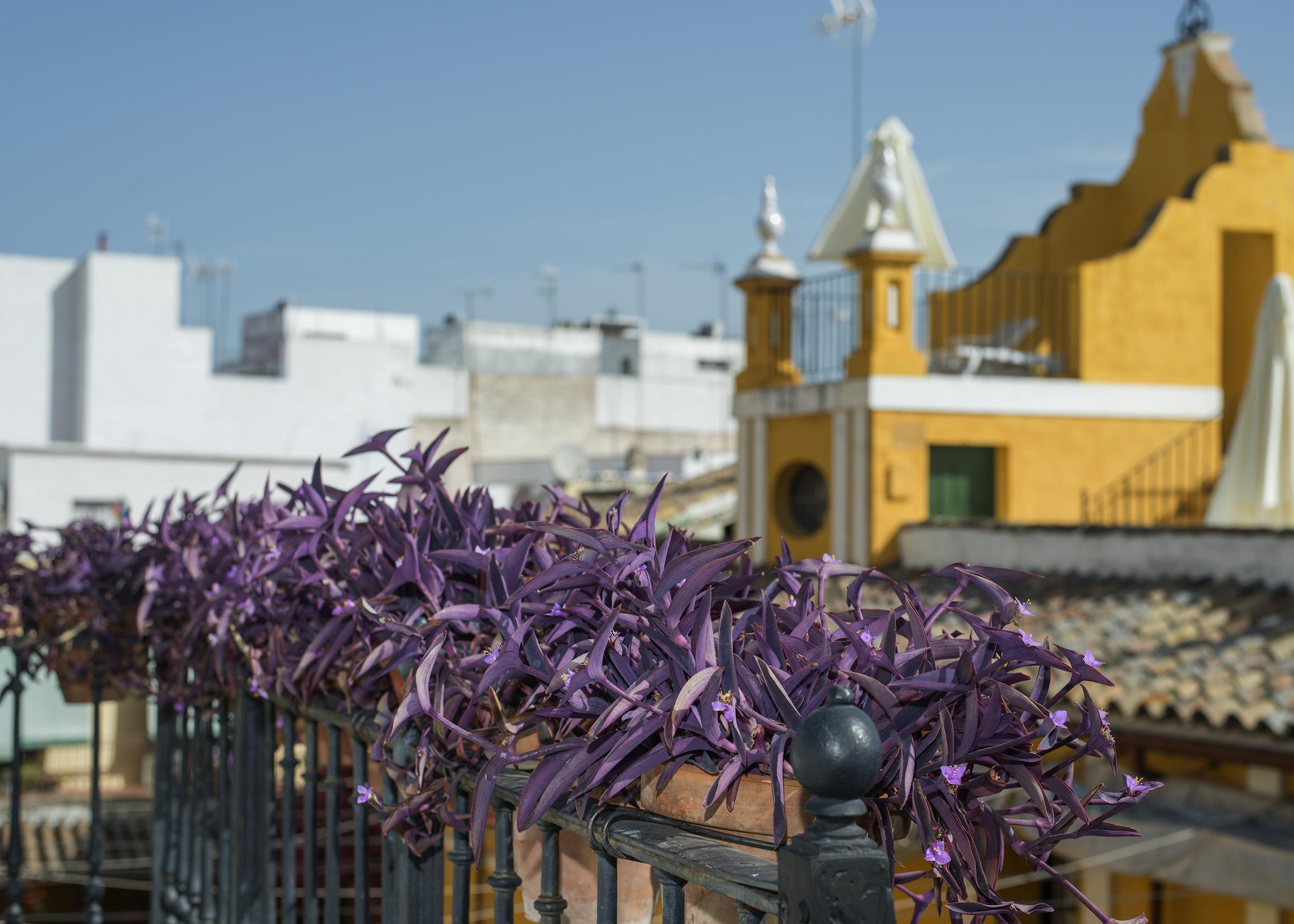 Hotel Las Casas De La Juderia Sevilla Dış mekan fotoğraf
